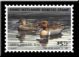 bM601.jpg (14610 Byte)