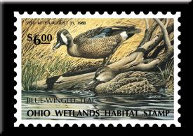 bM602.jpg (18085 Byte)