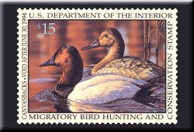 bM617.jpg (15006 Byte)