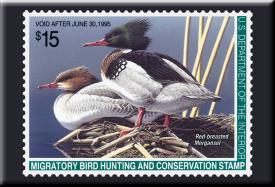 bM618.jpg (15379 Byte)