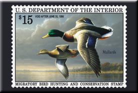 bM619.jpg (13076 Byte)