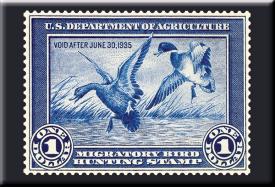 bM620.jpg (17756 Byte)