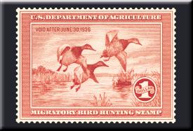 bM621.jpg (14822 Byte)