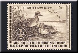 bM622.jpg (15595 Byte)