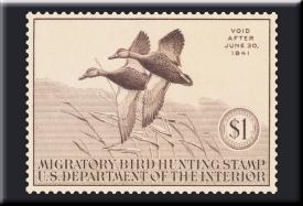 bM623.jpg (11753 Byte)