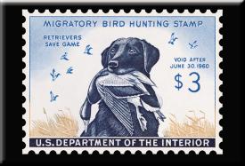 bM687.jpg (14359 Byte)