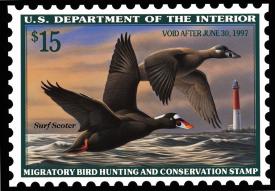 bM689.jpg (15509 Byte)