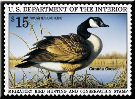 bM690.jpg (18369 Byte)