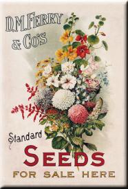 bM417.jpg (14799 Byte)