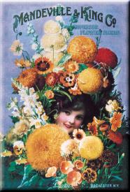 bM433.jpg (16244 Byte)