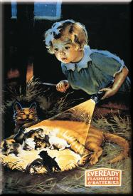 bM462.jpg (14369 Byte)