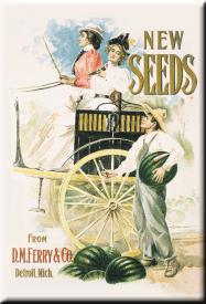 bM466.jpg (13402 Byte)