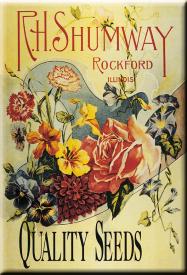 bM565.jpg (17504 Byte)