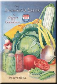 bM566.jpg (13606 Byte)