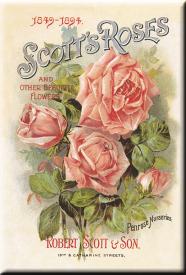 bM575.jpg (13670 Byte)