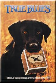 bM300.jpg (12711 Byte)