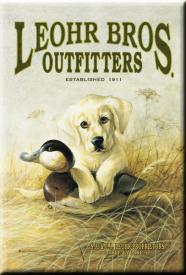 bM596.jpg (12786 Byte)