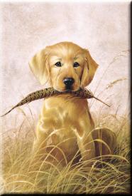 bM597.jpg (11410 Byte)