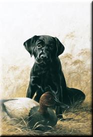 bM598.jpg (9864 Byte)