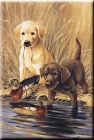 bM682.jpg (13238 Byte)