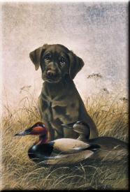 bM684.jpg (11813 Byte)