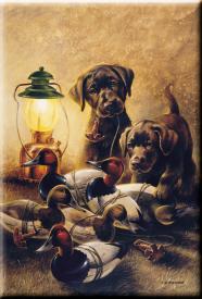 bM685.jpg (12863 Byte)