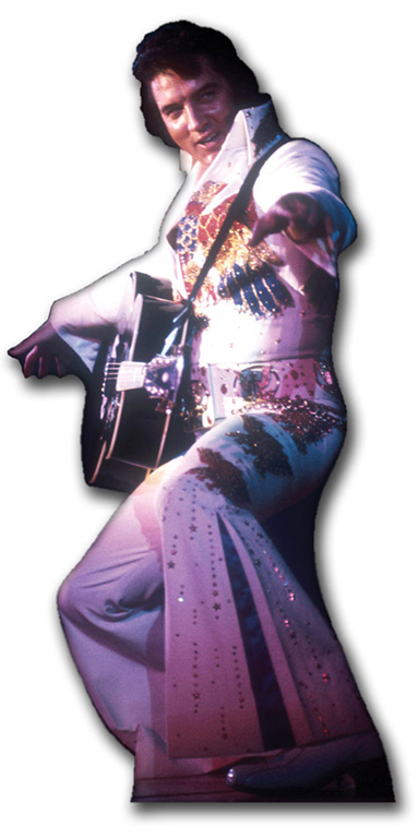 Star Cutouts Pappaufsteller von Elvis Rot Jacke und Gitarre